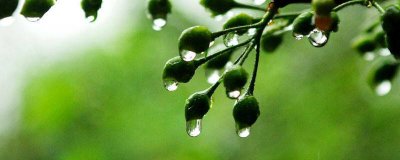 ​梅雨季节是秋天吗[什么季节是梅雨季节]