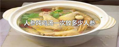 ​人参炖鸡需要放多少人参 人参炖鸡汤放多少克