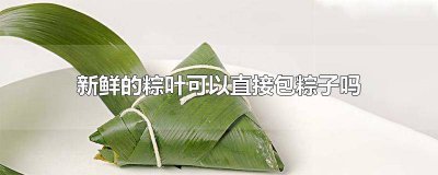 ​鲜粽叶包粽子用泡吗直接包可以吗 不用粽子叶能包粽子吗