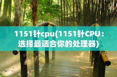 ​1151针cpu(1151针CPU：选择最适合你的处理器)