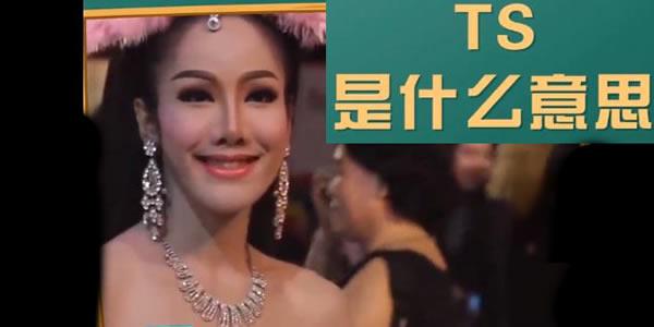 ts代表啥 ts是什么意思解释一下