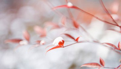 ​掰掰热暖手宝怎样融化 掰掰热暖手宝怎么变软
