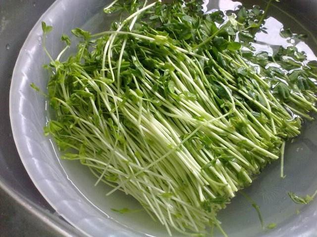 顺德缩骨大头鱼,口感嫩,鲜,肥,白,滑,食过返寻味,肉质鲜美