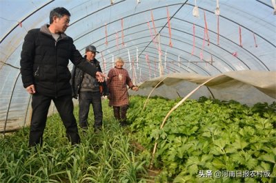 ​先锋人物：他把生命献给党——追记商水县平店乡优秀党员、葛楼村党支部书记杨