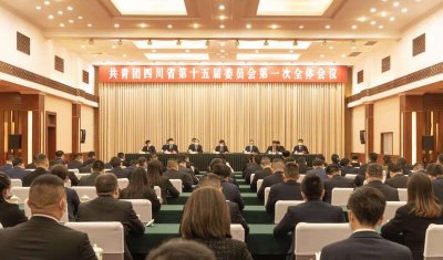 ​唐经天当选团四川省委书记