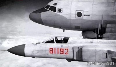 英雄的挽歌:重温“81192”事件探寻真相背后的时代印记