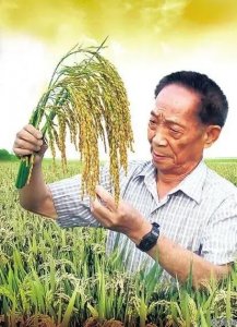 ​中国十大著名科学家