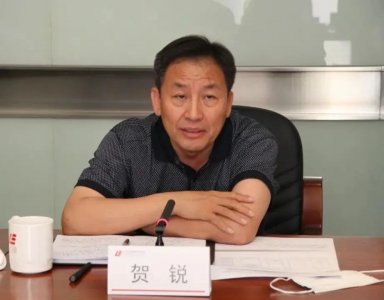 ​包庇黑社会！贺锐被双开