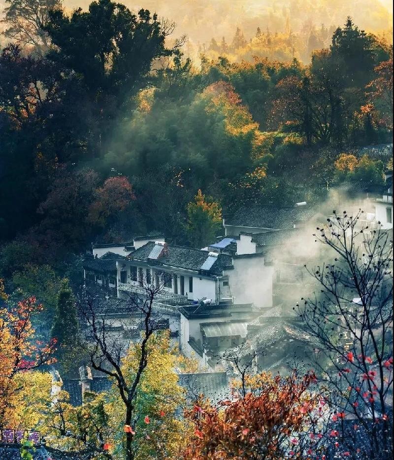 婺源什么季节去合适（婺源什么时候去最好）