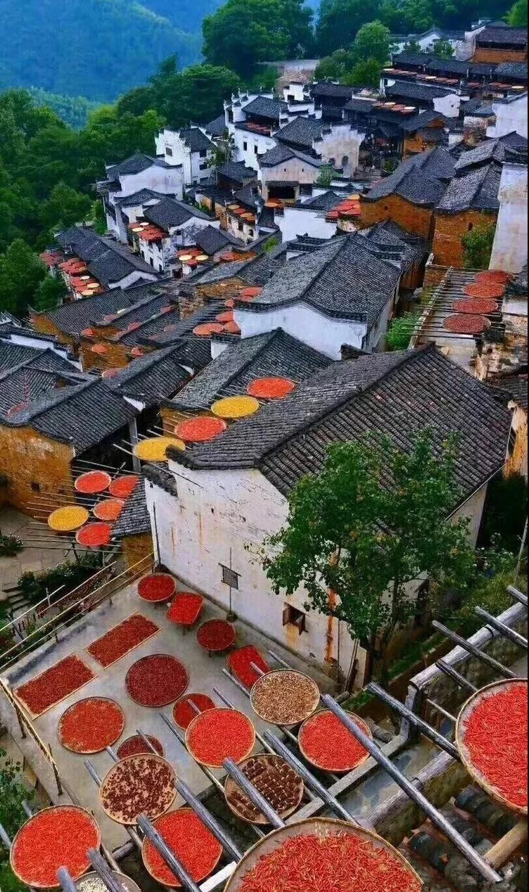 婺源什么季节去合适（婺源什么时候去最好）