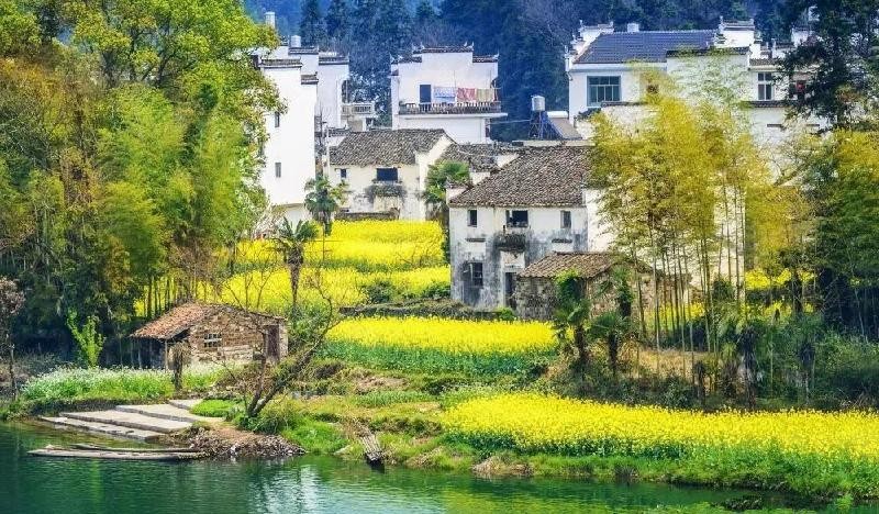 婺源什么季节去合适（婺源什么时候去最好）