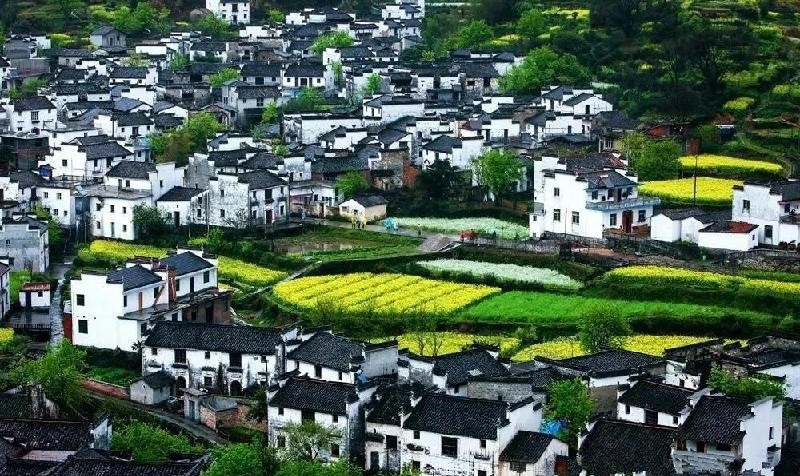 婺源什么季节去合适（婺源什么时候去最好）