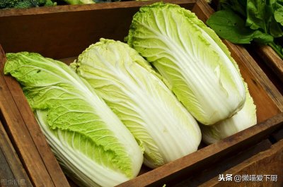 ​白菜保存新鲜办法（新鲜白菜放冰箱能放多久）