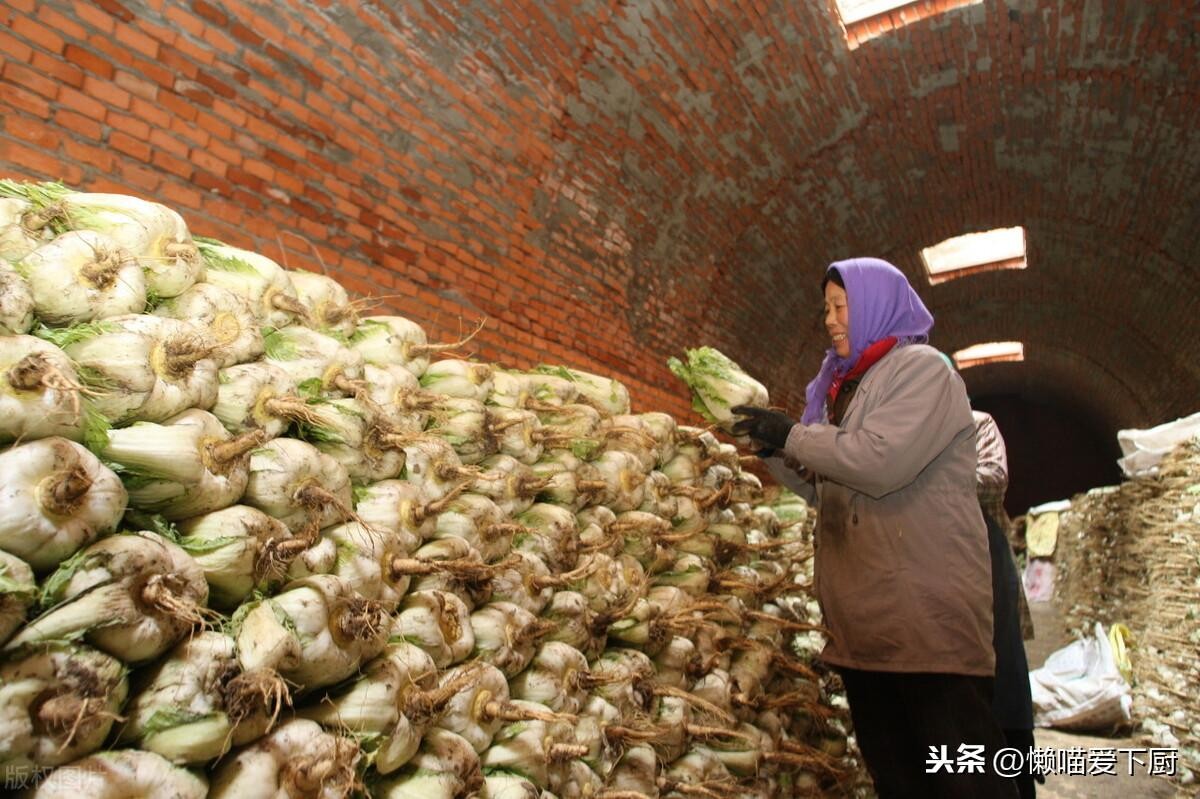 白菜保存新鲜办法（新鲜白菜放冰箱能放多久）