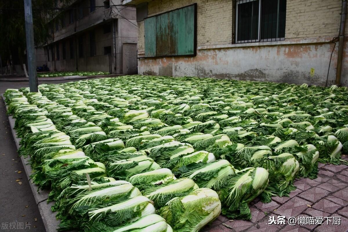 白菜保存新鲜办法（新鲜白菜放冰箱能放多久）