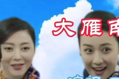 ​大雁南飞完整版原唱男生唱