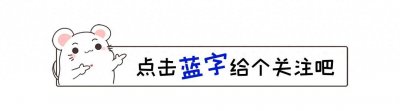 ​中原风云人物 福将刘峙执政河南轶事