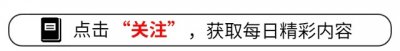 ​郭靖宇执导的11部经典剧，每一部都很经典火爆，不信你一部也没看