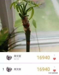 ​运动排行榜每天都有人走出数万步？揭秘朋友圈的 “榜哥”“榜姐”