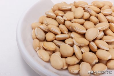 ​扁豆的功效与作用（用于脾虚有湿气 食欲不振）