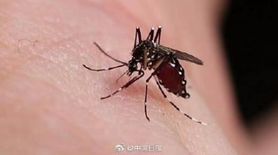 ​建议人类为蚊子献血因为它们要养幼虫，网友：我养我自己都费劲