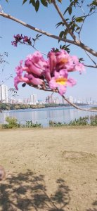 ​《广西少数民族语言文字》：仫佬族