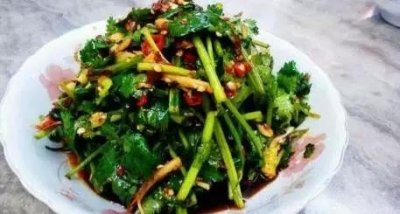 ​凉拌香菜，超级简单，下酒下饭，喜欢吃的人都会感觉吃不过瘾！