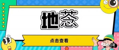 ​地菍一身都是宝