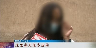 ​私房暗藏屠狗窝点！记者暗访：狗贩子当场宰杀活狗，现场一声声惨叫……