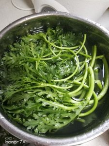 ​皇帝菜的新做法