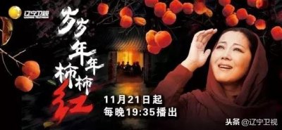 ​《岁岁年年柿柿红》笑中带泪 追梦之旅情暖人心