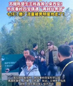 ​《快乐再出发》录制与游客起冲突，引发不满的是明星的“特权感”