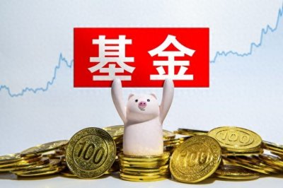 ​《手把手教你买基金》：定投让我们避开择时难题，实现长期投资