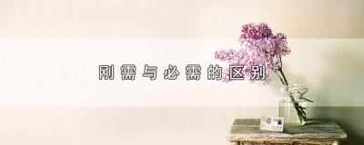 ​刚需与必需的区别