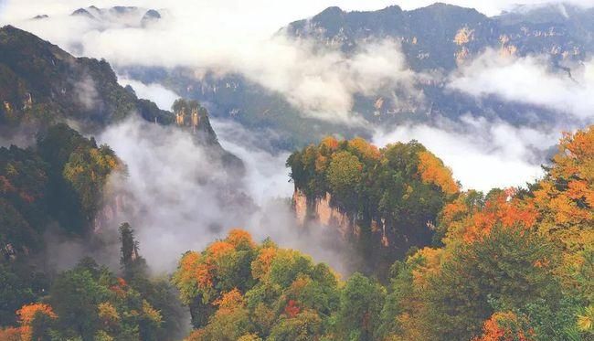 光雾山最高海拔