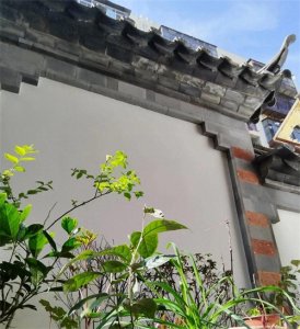 ​让春光映照出真实的自己和周围的世界，向美而行