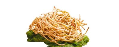 ​鱼腥草哪儿出产最好 中国哪里盛产鱼腥草