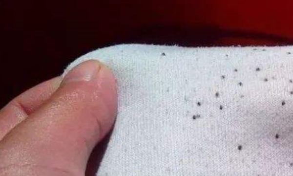 上霉的衣服怎么可以去除,发霉的衣服用什么洗能洗掉 4种方法去除衣服霉点呢图3