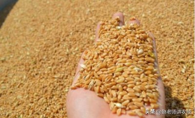 ​一瓶酒的价格构成(一套房子的价格构成)