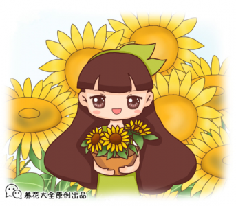 ​向日葵是什么时候种的 超喜欢太阳的向日葵，春天播种最合适