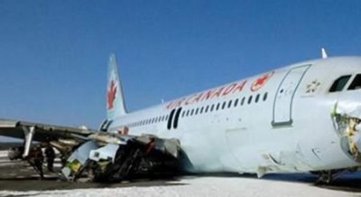 ​还真是孝顺儿子