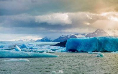 ​蓝眼泪是一种海洋浮游物种吗？