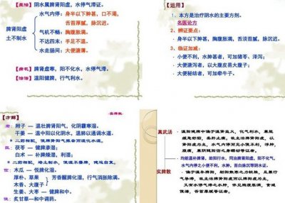 ​实脾散（古代经典名方1038）