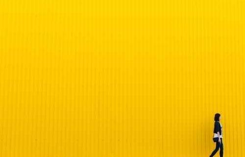 生活爱枣的小说 1