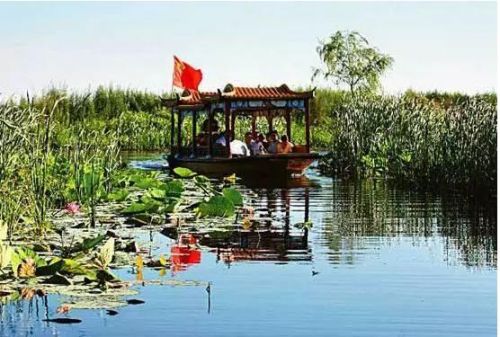 沈阳薰衣草庄园在哪(沈阳薰衣草花海在哪里)-第2张图片-