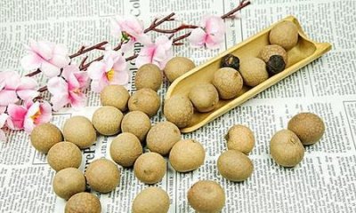 ​吃桂圆干对失眠有用吗(桂圆干怎么吃治失眠)
