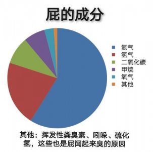 ​屁里面的主要成分都是啥（屁中成分99是无色无味的）
