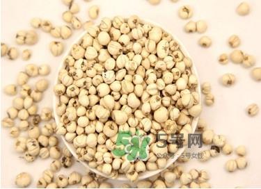 川贝母是苦的吗？川贝母是凉性的吗