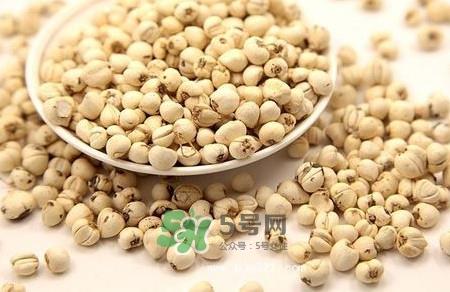 川贝母是苦的吗？川贝母是凉性的吗