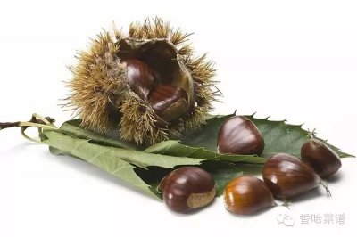 ​生板栗怎么去皮和壳最快 12个最快的生板栗去皮方法